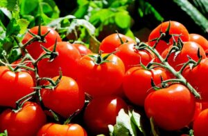 10 najlepszych dietetycznych produktów spożywczych, które poprawiają pamięć i koncentrację
